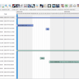 order gantt view